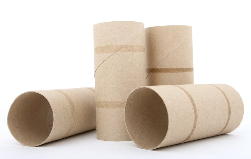 Cardboard Tube Animals
